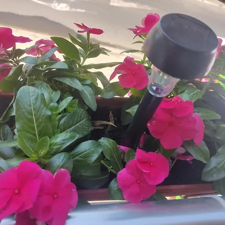 Апартамент Adonai