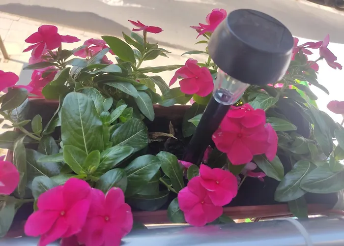 Апартамент Adonai