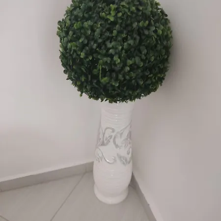 Adonai Апартаменты *